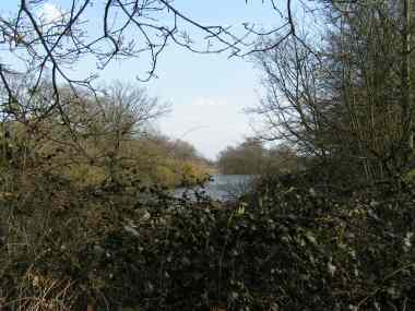 Wanstead Park - Lake System